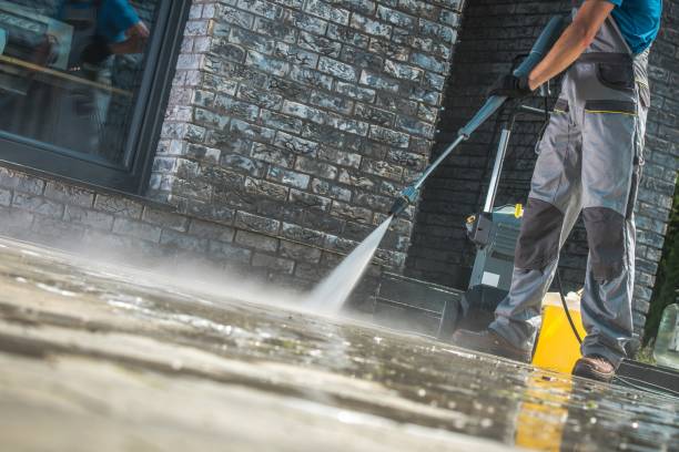 Best Animal Enclosure Cleaning  in Williamsburg, PA